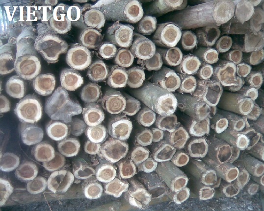 xuất khẩu gỗ keo