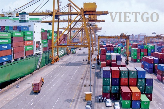 xuất khẩu gỗ teak
