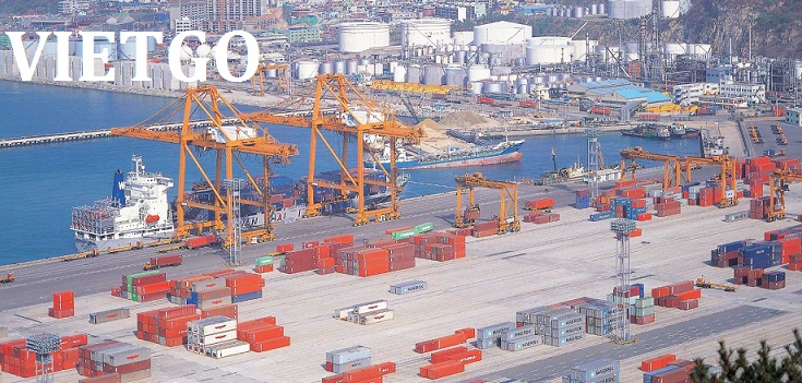 xuất khẩu gỗ dán