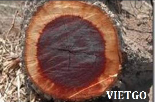 gỗ keo