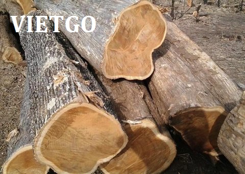 gỗ teak
