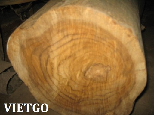 gỗ teak