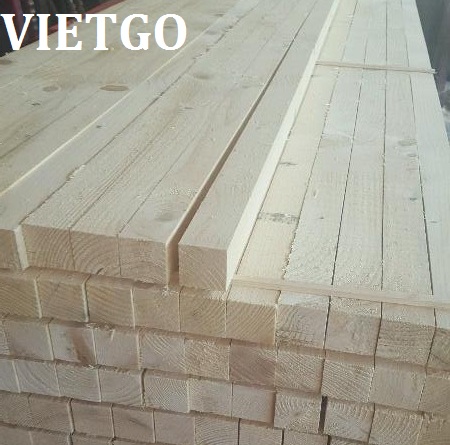 xuất nhập gỗ thông