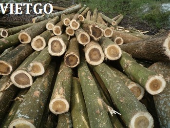 gỗ keo tròn