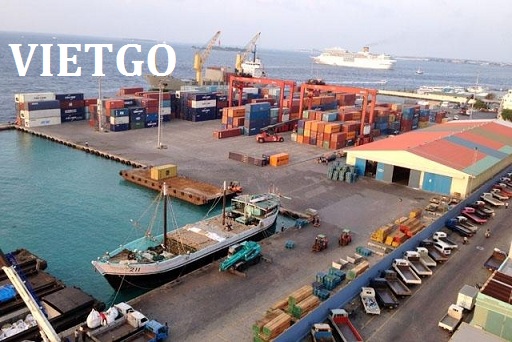 xuất khẩu gỗ thông