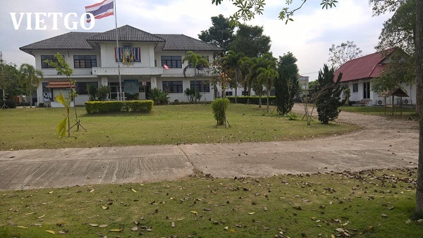 xuất khẩu hạt điều