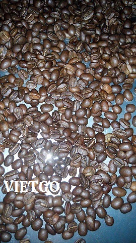 robusta