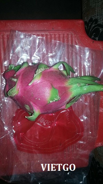 dragon fruit
