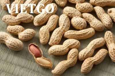 xuất khẩu lạc