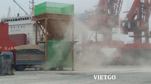 khoai mì xuất khẩu