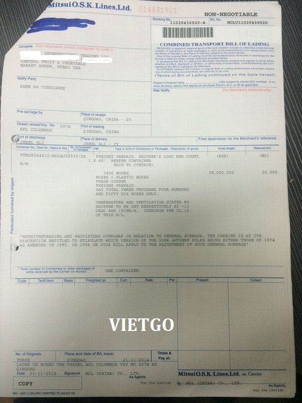 gừng xuất khẩu