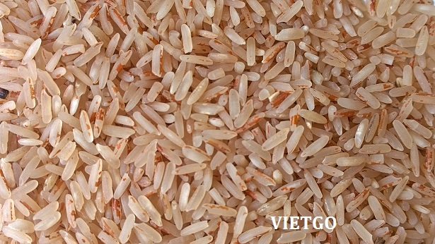 gạo huyết rồng