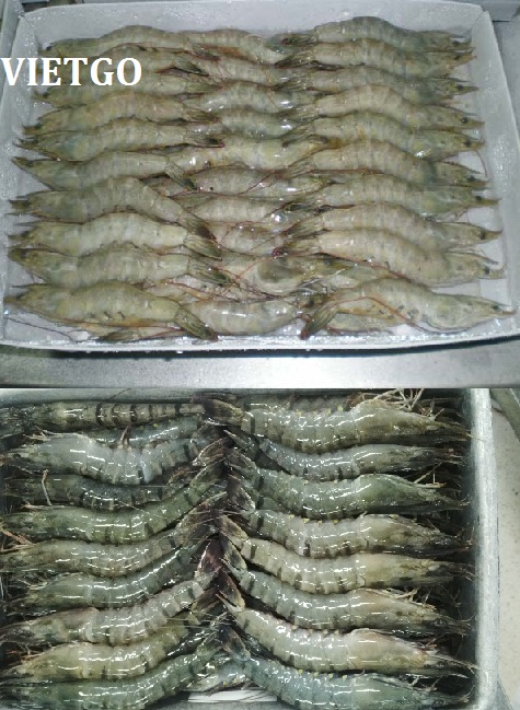 tôm xuất khẩu