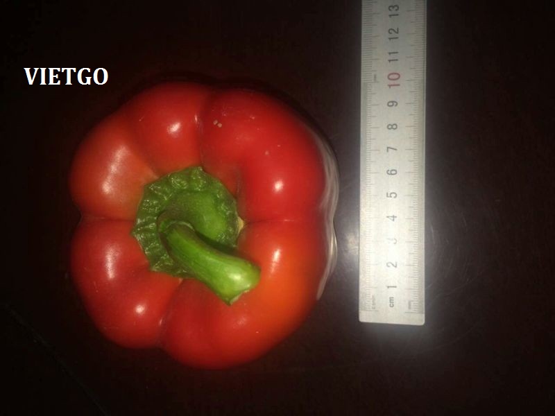 red chili
