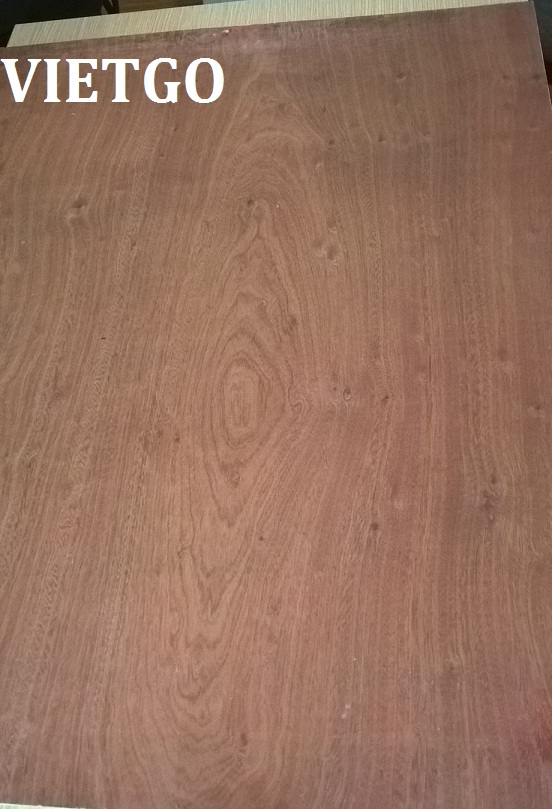 gỗ dán