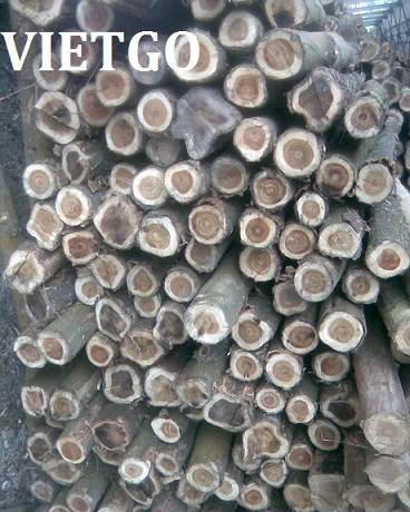 xuất khẩu củi gỗ