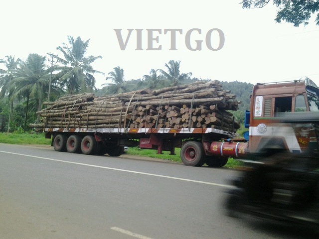 gỗ teak