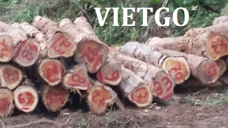 teak xẻ