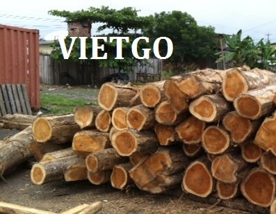 gỗ teak