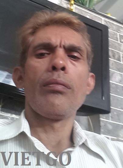 gỗ dán