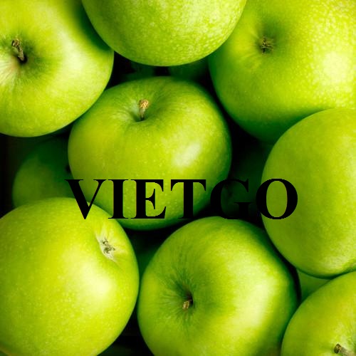 VIETGO-xuat-khau-gưng-toi-carrot-trai-cay-cac-loai-Maldives