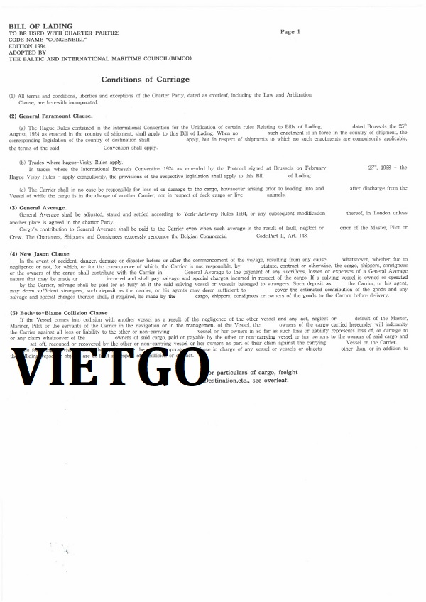 Sắn lát Vietgo Sắn lát Vietgo