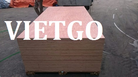 Gỗ dán mặt gỗ dầu Vietgo