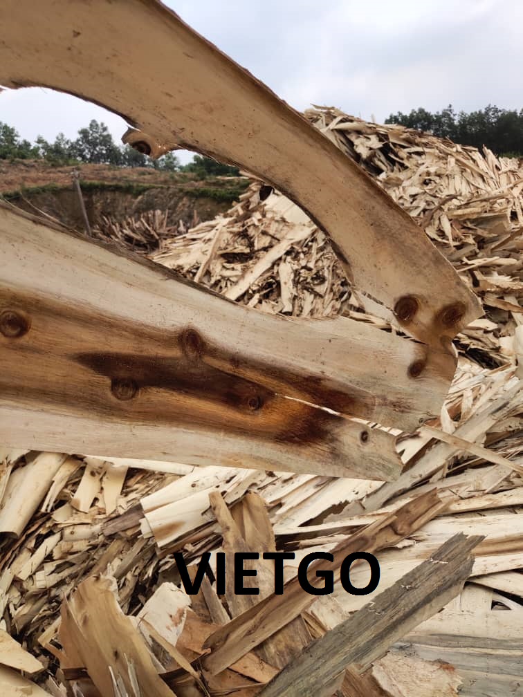 PHE-LIEU-VAN-BOC-VIETGO
