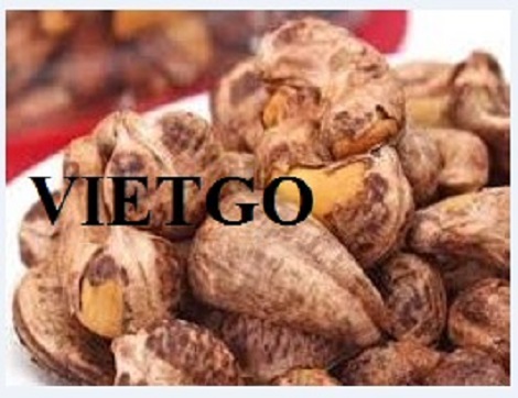 Hạt điều Vietgo