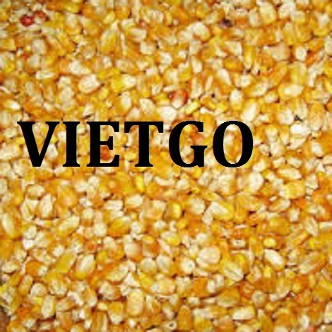 VIETGO-xuat-khau-ngo- Srilanca 