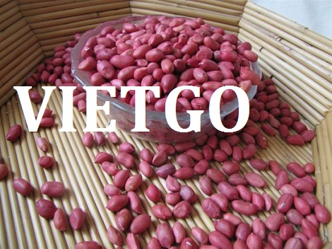 Lạc Vietgo