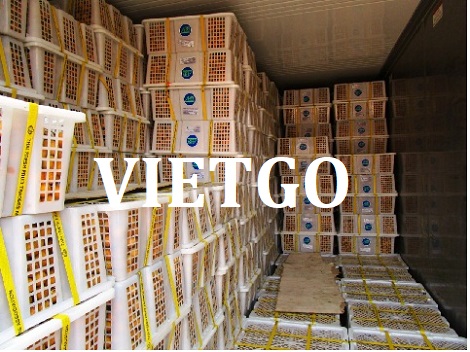 Nhãn tươi Vietgo
