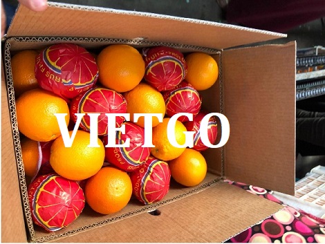Nhãn tươi Vietgo