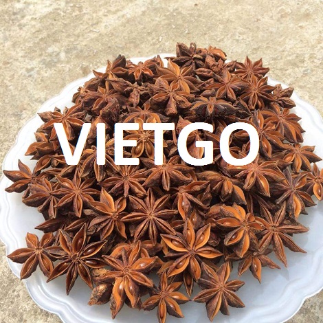 Hoa Hồi Vietgo