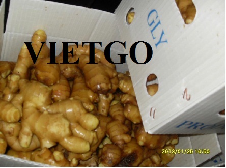 VIETGO-xuat-khau-gừng -Saudi Arabia VIETGO-xuat-khau-gừng -Saudi Arabia