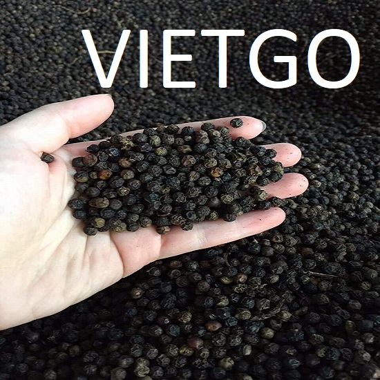 vietgo-xuat-khau-tieu-den-den-An-Do