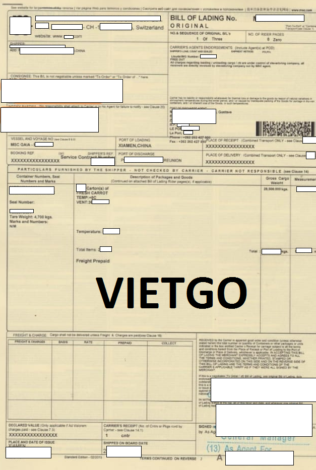CÀ RỐT VIETGO