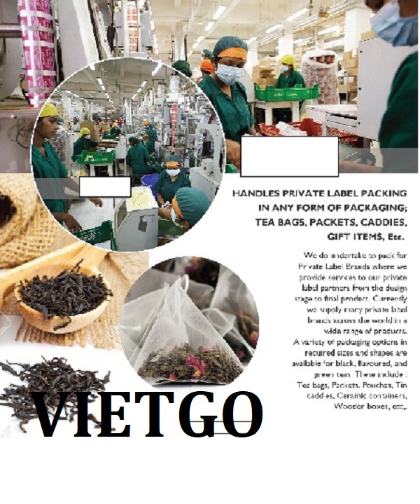 HÀNH TƯƠI VIETGO HÀNH TƯƠI VIETGO