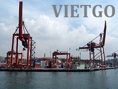 xuất khẩu mầm ngô sang Thổ Nhĩ Kỳ