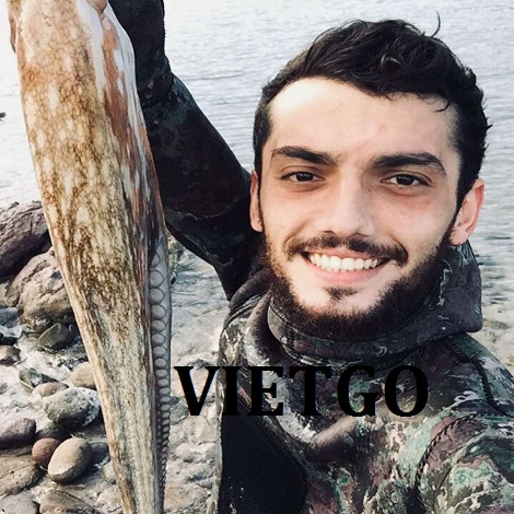 Gay-tre-VIETGO Gay-tre-VIETGO