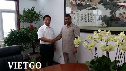 gừng việt nam xuất khẩu
