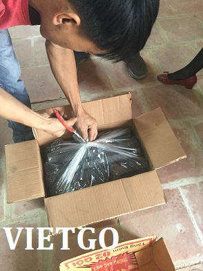 sawdust charcoal Vietnam