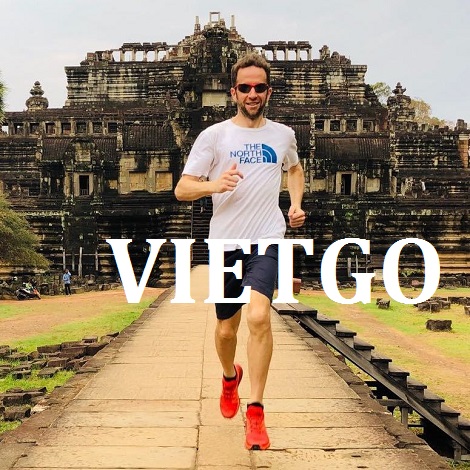 Dăm bào Vietgo