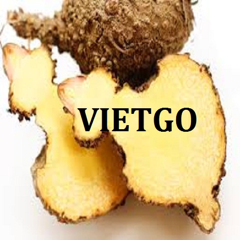 khoai-nua-lat-vietgo