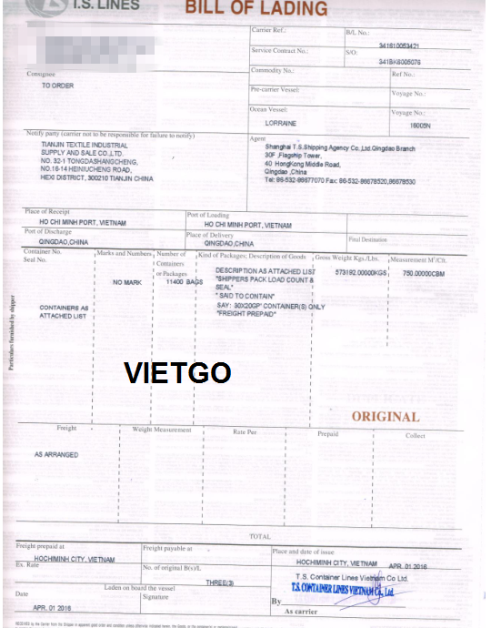 tinh bột sắn việt nam