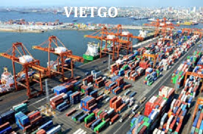 ngô hạt việt nam