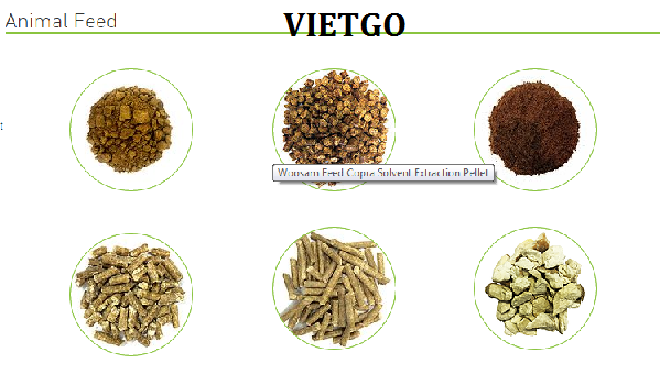tinh bột sắn việt nam