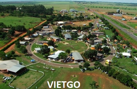 tinh bột sắn việt nam