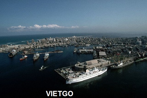 xuất khẩu tỏi việt nam