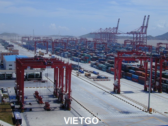 tinh bột sắn việt nam